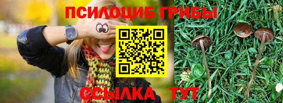 Псилоцибиновые грибы Magic Shrooms  Галлюциногенные грибы Psilocybe  Губкин  Вход с VPN 